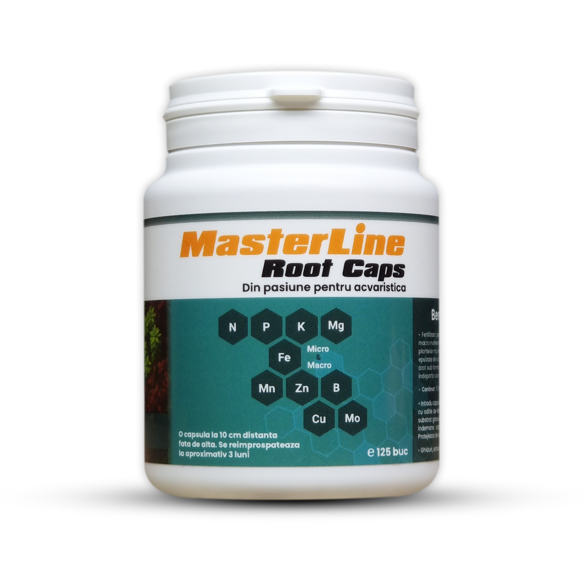 MasterLine Root Caps