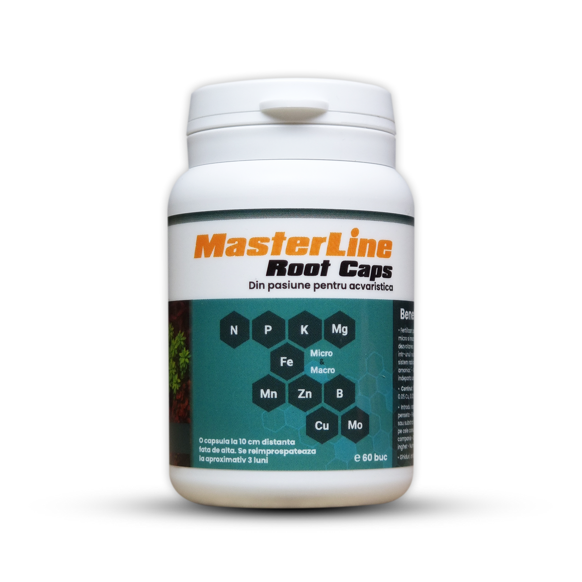 MasterLine Root Caps