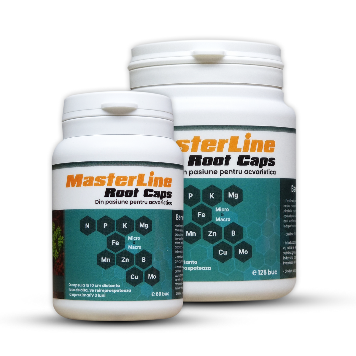 MasterLine Root Caps